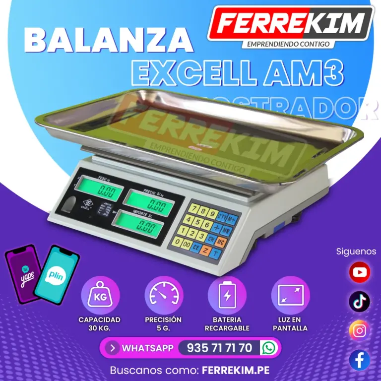 240406 balanza electronica excell am3