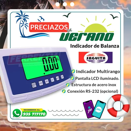 50110-indicador-balanza-saguita