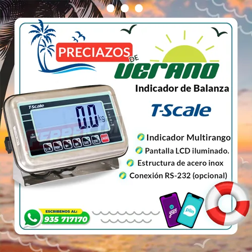 50110-indicador-balanza-tscale-bws