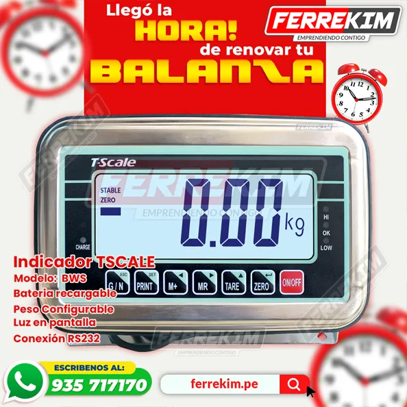 balanza-cabezal-indicador-TSCALE-BWS