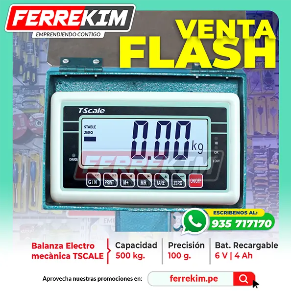balanza-electro-mecanica-TSCALE-BW-1-PANTALLA-DE-500-KG-1