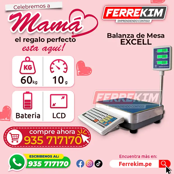 DIA DE LA MADRE BALANZA ORIGINAL EXCELL PLANA DE 60 KG