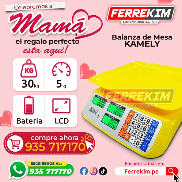 DIA DE LA MADRE BALANZA ORIGINAL KAMELY PLANA DE 30 KG